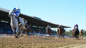 TV, television, radio, streaming, horse racing, Santa Anita Park, Gulfstream Park, Turfway Park, Laurel Park, Aqueduct, Oaklawn Park, NYRA, America’s Day at the Races, FanDuel TV, FOX Sports, FS1, FS2, Byk, HRRN, RTN, ABR