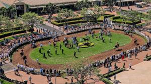 Goodwood Stakes, Santa Anita Park, gambling, longshot, Breeders’ Cup, Gaming, Ultimate Gamble, Privman, First Mission, Nevada Beach, Express Train, Full Serrano, Sadler, Baffert, Shirreffs, Berrios, Hernandez, Equibase Speed Figure, horse racing, ABR