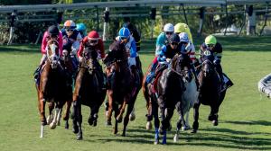 Royal Heroine Stakes, Santa Anita Park, gambling, Innovative, Tirupati, A Thousand Miles, Ripassare, May Day Ready, Rosie Jeeks, Watchtower, Take A Breath, Grand Slam Smile, Richard Mandella, Mark Glatt, Emisael Jaramillo, horse racing, ABR