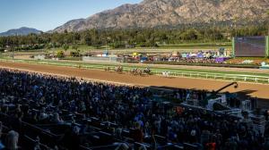 How Can Anime Positively Impact Horse Racing? Let the Umamusume Community Explain