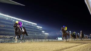 UAE Derby, Six Speed, United Arab Emirates Two Thousand Guineas Trial, Meydan Racecourse, Triple Crown, Kentucky Derby, America's Best Racing, ABR, horse racing