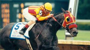 Skip Away: The Unlikely Story of an FBI Agent and a Gray Racehorse