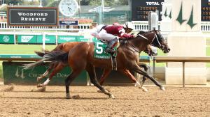 Spice Runner Among 2-Year-Olds on the Rise on Equibase Leaderboard