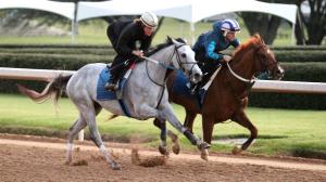 Taptastic, Oaklawn Park, Arkansas Derby, Triple Crown, Kentucky Derby, America's Best Racing, ABR, horse racing