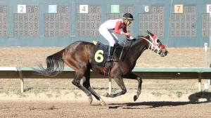 Tennessee Moon, Columbine Stakes, Arapahoe Park, Coady Media