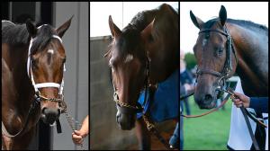 Fierceness, Catching Freedom, Sierra Leone, Kentucky Derby, Churchill Downs