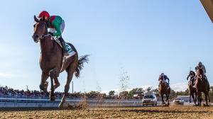 U. S. S. Valor, Rookie Rankings, Kentucky Derby, Triple Crown, horse racing, America's Best Racing, ABR