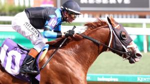 Verifire, H. Allen Jerkens Memorial Stakes, Travers Stakes, Saratoga Race Course, America's Best Racing, horse racing, ABR