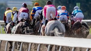 Profitable Betting Strategies for the 2026 Woodbine Oaks