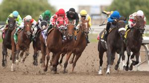 Woodbine Oaks, Innisfree Isle, Woodbine, America's Best Racing, horse racing, ABR