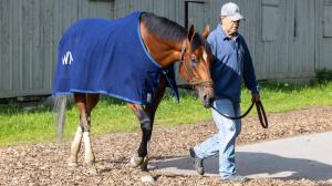 Preakness Winner Journalism to Target $1 million Haskell Stakes 