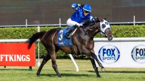 Think Big When Betting the 2025 Fourstardave Stakes
