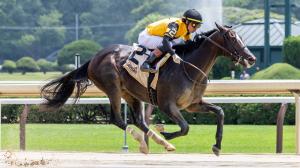 Curtain Call, Spendthrift Hopeful Stakes, Saratoga Race Course, America's Best Racing, horse racing, ABR