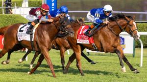 El Cordobes, Saratoga Race Course, 2025 Sword Dancer Stakes, Godolphin