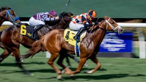 Queen Maxima, Senator Ken Maddy Stakes, Del Mar, Las Cienegas Stakes, Santa Anita Park, America's Best Racing, horse racing, ABR