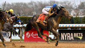 2026 Wood Memorial Stakes, Aqueduct, Road to the Kentucky Derby, Albus