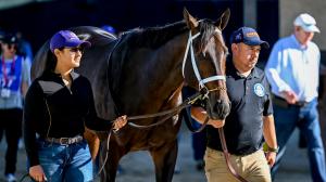 Breeders’ Cup Classic, Del Mar, Fierceness, Sierra Leone, Journalism, Baeza, Mindframe, Forever Young, Nevada Beach, Antiquarian, America's Best Racing, horse racing, ABR  Breeders’ Cup Classic, Del Mar, Fierceness, Sierra Leone, Journalism, Baeza, Mindframe, Forever Young, Nevada Beach, Antiquarian, America's Best Racing, horse racing, ABR