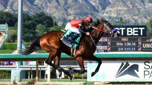 So Happy Goes the Distance to Win Santa Anita Derby, Meaning Takes Oaks