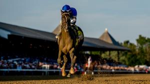 Sovereignty. 2025 Travers Stakes, Saratoga Race Course, Midsummer Derby, Bill Mott