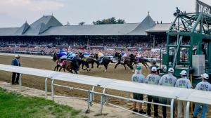 Belmont Stakes, Saratoga Race Course, At a Glance, Golden Tempo, Renegade, Triple Crown, America's Best Racing, horse racing, ABR