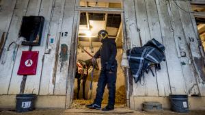 Yedsit Hazlewood, Panama, Eclipse Awards, Outstanding Apprentice, America's Best Racing, ABR, horse racing