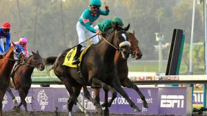 The Magnificence of Inspirational Fan-Favorite Zenyatta