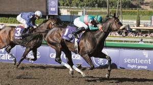 Zenyatta, Mike Smith, Breeders' Cup Distaff, Keeneland, horse racing, America's Best Racing, ABR