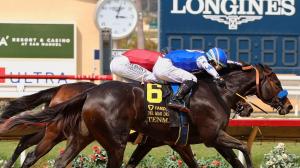 Del Mar Betting Guide: Tips and Trends to Know for the 2025 Summer Meet