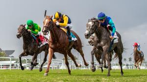 Noel Michaels handicapping, Gulfstream Park, Americas Best Racing