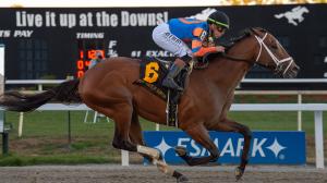 Renegade, Todd Pletcher, 2026 Sam F. Davis Stakes, Tampa Bay Downs