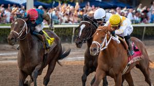 Florida Derby, Commandment, The Puma, Chief Wallabee, Gulfstream Park, America's Best Racing, Triple Crown, Kentucky Derby, horse racing, ABR