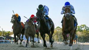 2026 Sam F. Davis Stakes at a Glance