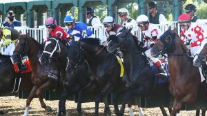 2025 Ack Ack Stakes at a Glance