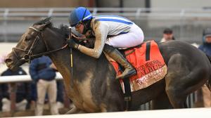 Albus, Kentucky Derby, prospect, Wood Memorial, Aqueduct, Pin Oak Stud, Riley Mott, Jaime Torres, jockey, owner, trainer, pedigree, speed figure, Equibase, Beyer, Yaupon, Adream, horse racing, ABR