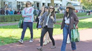 Annise Montplaisir Amplify Horse Racing Godolphin Flying Start entrepreneur industry horse racing Saratoga Fargo 