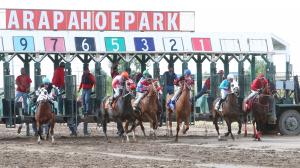 Bet365 betting wagering fixed odds horse racing Colorado Arapahoe Dubai Saudi World Cup Evangeline Delta racetracks simulcast parlay sports betting gaming SIS Content Services sportsbook