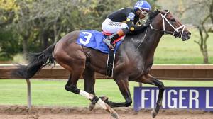 Remington Park, Springboard Mile, Kentucky Derby, Arctic Beast, Mike Maker, Essential Time, Royalamerican, Spice Runner, Big Apple Patrick, Express Kid, trifecta, gambling, betting, trainer, horse racing, ABR