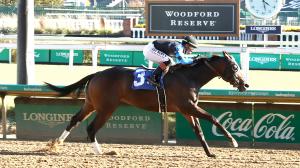 Awesome Hawaiian’s Victory an Inspirational Story for Rescue Horses