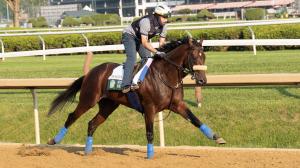 Jim Dandy Stakes, gambling, betting, handicapping, exacta, superfecta, Baeza, Sovereignty, Kentucky Derby, Belmont Stakes, Mo Plex, Sandman, Hill Road, horse racing, ABR