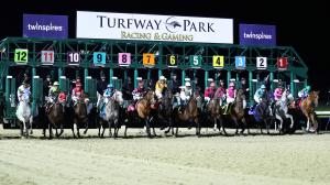 2026 John Battaglia Stakes at a Glance