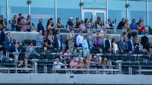 Pilgrim Stakes, Belmont Park, Breeders’ Cup, juvenile, turf, Roscoe Goose, Saratoga, Miguel Clement, Dover Street, Richard Hannon, And the Runner Is, Mark Casse, Chief of Peace, Riley Mott, Manny Franco, exacta, trifecta, maiden, ABR