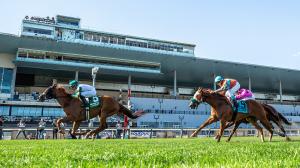 Belmont at the Big A, Belmont Park, Aqueduct, New York, racing, racetrack, jockeys, trainers, gambling, leaders, wins, betting, Manny Franco, Flavien Prat, Irad Ortiz, Javier Castellano, Linda Rice, Todd Pletcher, Chad Brown, Brad Cox, ABR