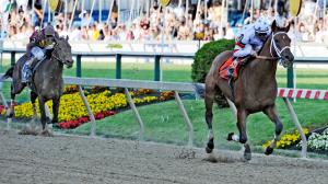 Big Brown Kentucky Derby Preakness stallion retired Old Friends John Nicholson Michael Blowen Kent Desormeaux Mage Dornoch Puca Andy Cohen Thoroughbred breeding racing