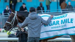 Equibase, leaderboard, standings, rankings, earnings, jockeys, trainers, horses, Cigar Mile, Bishops Bay, Aqueduct, Remsen Stakes, Paladin, Demoiselle Stakes, Zany, Chad Brown, Todd Pletcher, Flavien Prat, Irad Ortiz, record, horse racing, ABR