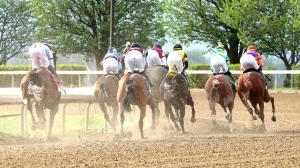 Derby Dozen, Byron King, Kentucky Derby, BloodHorse, Further Ado, Renegade, Commandment, The Puma, Chief Wallabee, Silent Tactic, Potente, Pavlovian, Incredibolt, Albus, So Happy, Emerging Market, horse racing, ABR