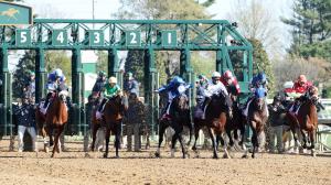 Blue Grass Stakes, Keeneland, Kentucky Derby, betting, gambling, history, trends, tips, preps, Gulfstream, Tampa, speed, closers, stakes, favorites, longshots, Further Ado, horse racing, ABR