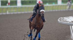 A History-Making King’s Plate Bid for ‘Chill’ Manitoba-Bred Brachetto