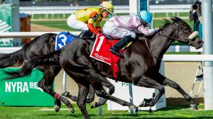 Hall Stables, Katie Hall, Sam Hall, breeders, Breeders’ Cup, Brickyard Belle, Juvenile Turf Sprint, Joe Shiesty, Turf Sprint, Keeneland, broodmare, mare, Matron Stakes, Woodford Stakes, Ready to Unleash, Joe Trawitzki, horse racing, ABR