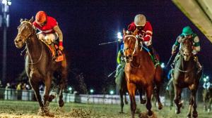 2026 Lecomte Stakes at a Glance