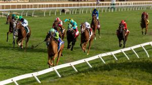 Keeneland, Queen Elizabeth II Challenge Cup Stakes, Laurelin, Fionn, America's Best Racing, horse racing, ABR